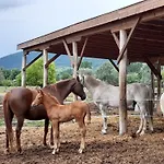Hébergement de vacances Szalakota Haz
