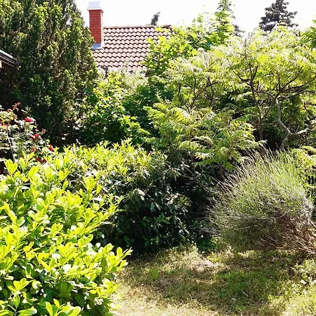 Szalakota Haz * Balatongyörök